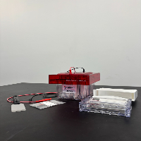 Invitrogen xcell4 Surelock midi-Cell image 1